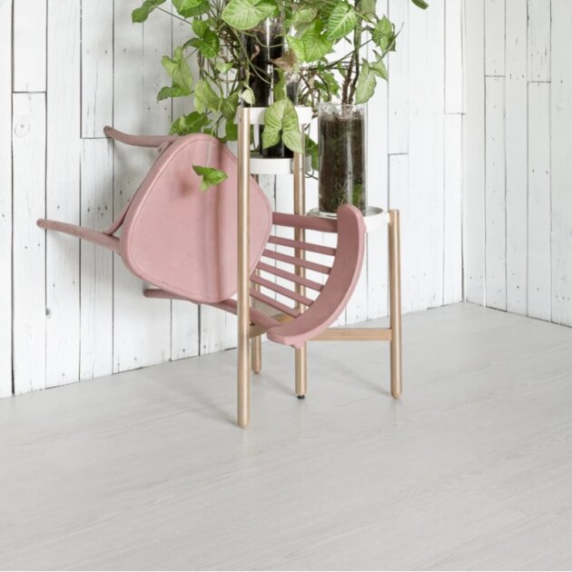 10675 Дуб Гюстров