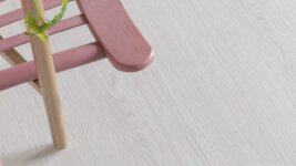 10675 Дуб Гюстров