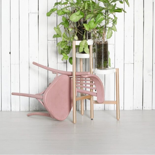 10675 Дуб Гюстров