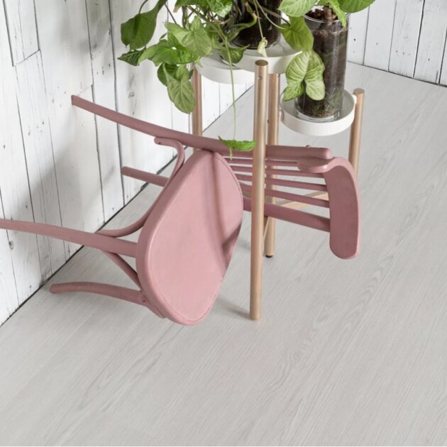 10675 Дуб Гюстров