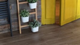 14609 Дуб Ваймар