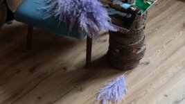 18222 Дуб Марбург