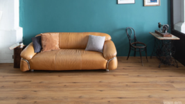 33037 Дуб Кадис