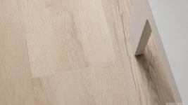 33111 Дуб Барселона