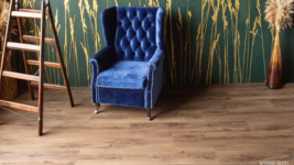 33259 Дуб Кордова