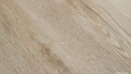 33488 Дуб Валенсия