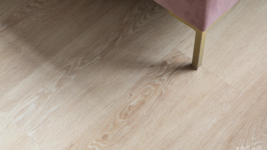 33555 Дуб Сарагоса