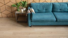 33606 Дуб Лас-Пальмас