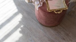 66777 Дуб Росток