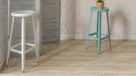 81306 Дуб Килль